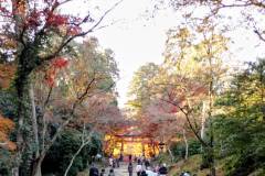 【日吉大社】