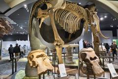 【琵琶湖博物館】