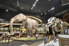 【琵琶湖博物館】