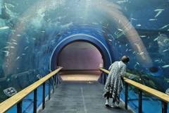 【琵琶湖博物館】