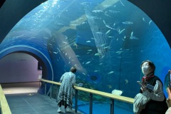 【琵琶湖博物館】