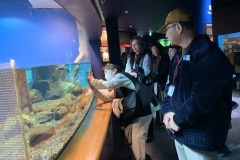 【琵琶湖博物館】