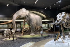 【琵琶湖博物館】