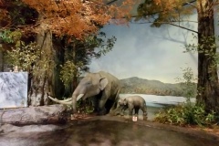 【琵琶湖博物館】