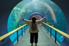 【琵琶湖博物館】トンネル水槽